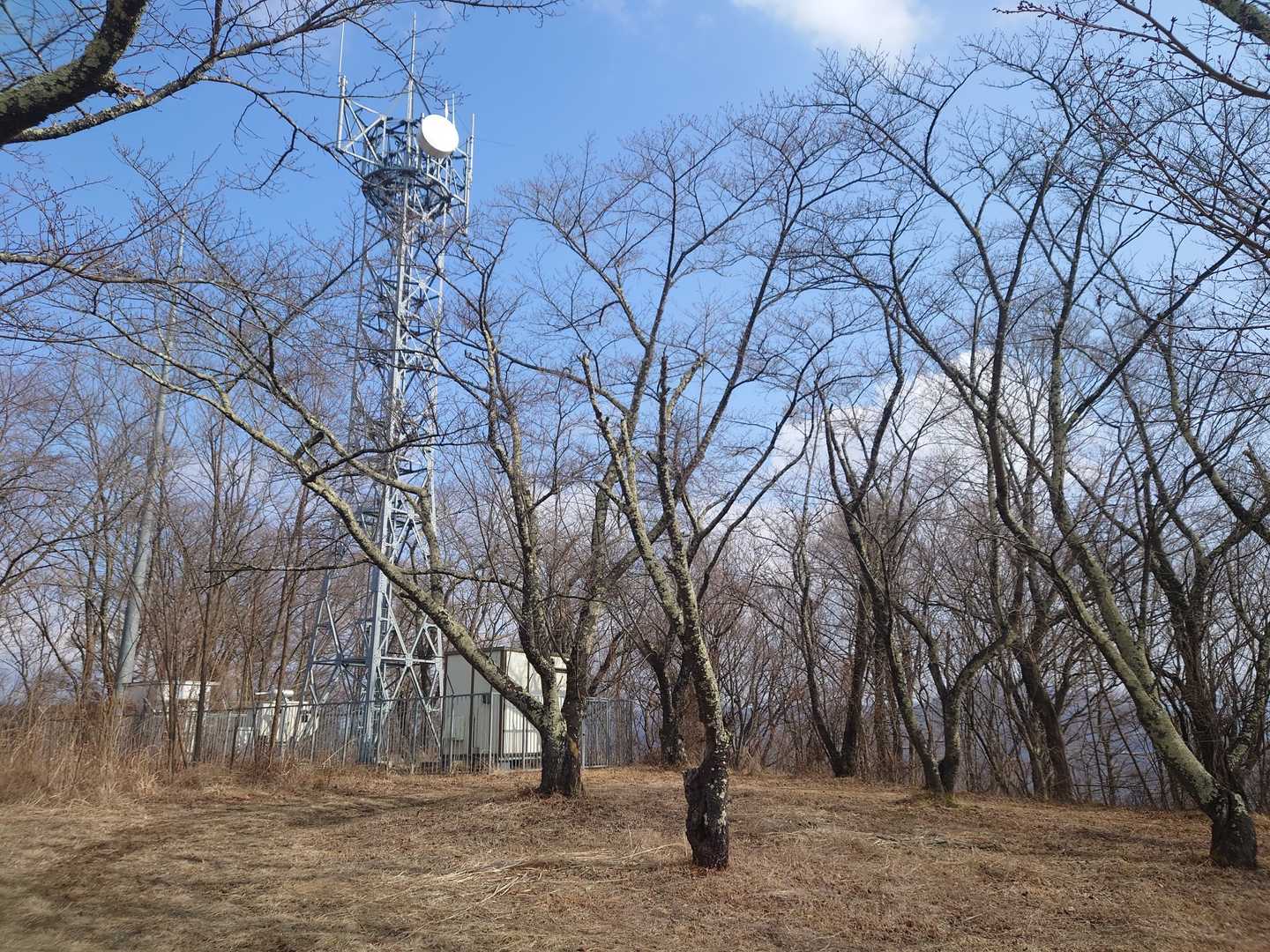 頂上です。アンテナや無線あり。桜や樹木の背が高く密で殆ど眺め無し。