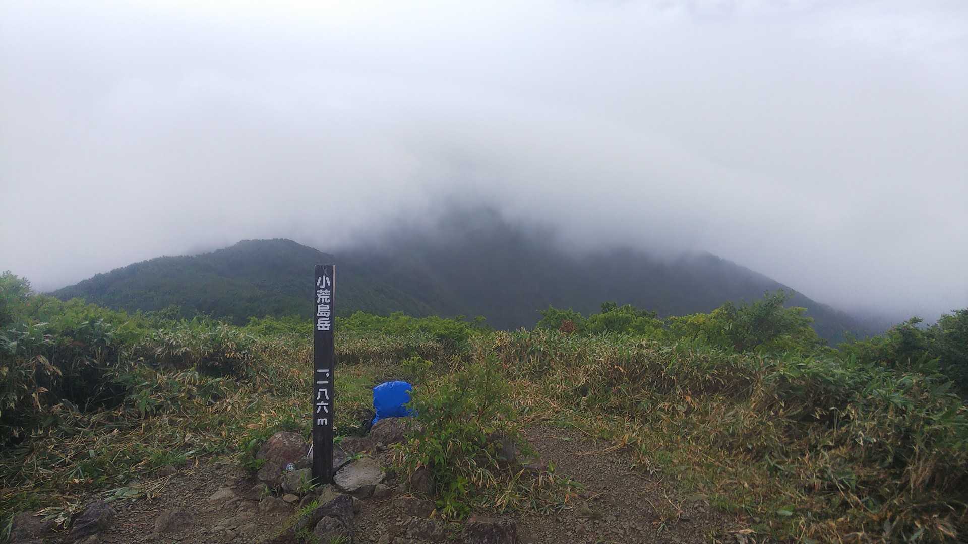 荒島岳もご覧の通り　ガスやし雨やし防水作業して太腿何か違和感あるし　今日はここを私の山頂とするー!( ｰ`дｰ´)ｷﾘｯ←ﾓﾄﾖﾘｲｶﾝﾂﾓﾘﾉﾋﾄ