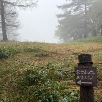 富士山の展望スポットもマッチロなのでスルー