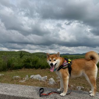 展望台です。台風の影響で変な雲☁️