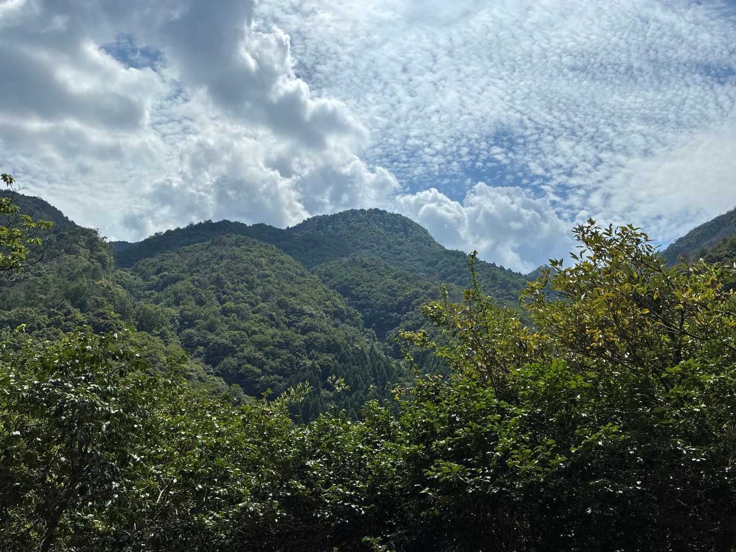 多田ヶ岳