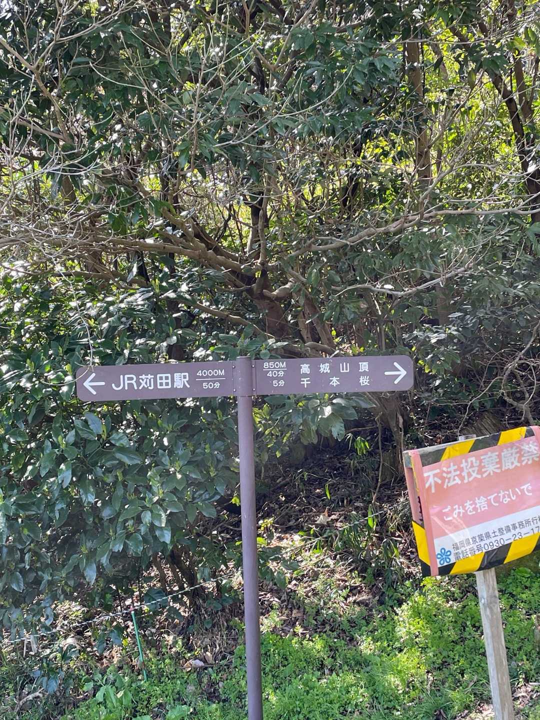 県道64号側の登山口⛰️