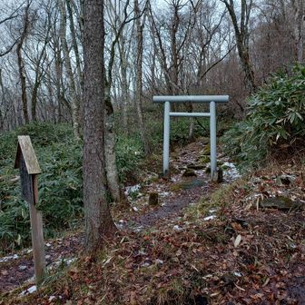 水神社😌ｱﾘｶﾞﾄｳｺﾞｻﾞｲﾏｼﾀ