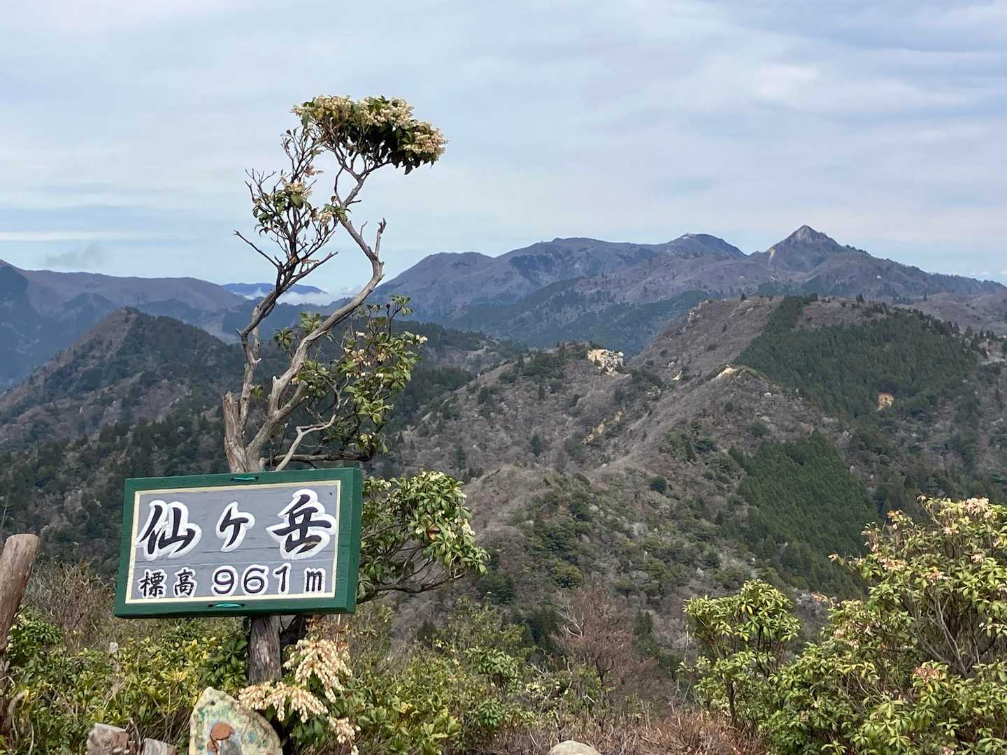 山頂で鎌ヶ岳と御在所岳眺めながら
ランチ休憩しました♪