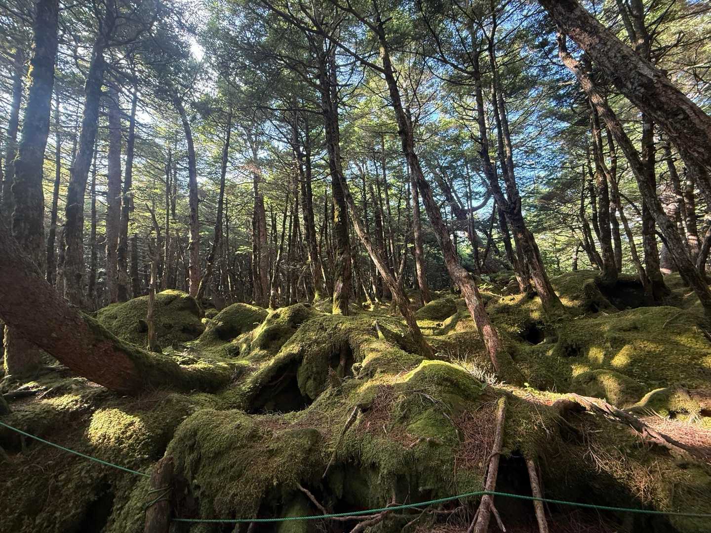 ニュウ・中山周回 | 幽玄な原生林と神秘の池から小さな岩峰を越え、天狗岳の絶景への写真