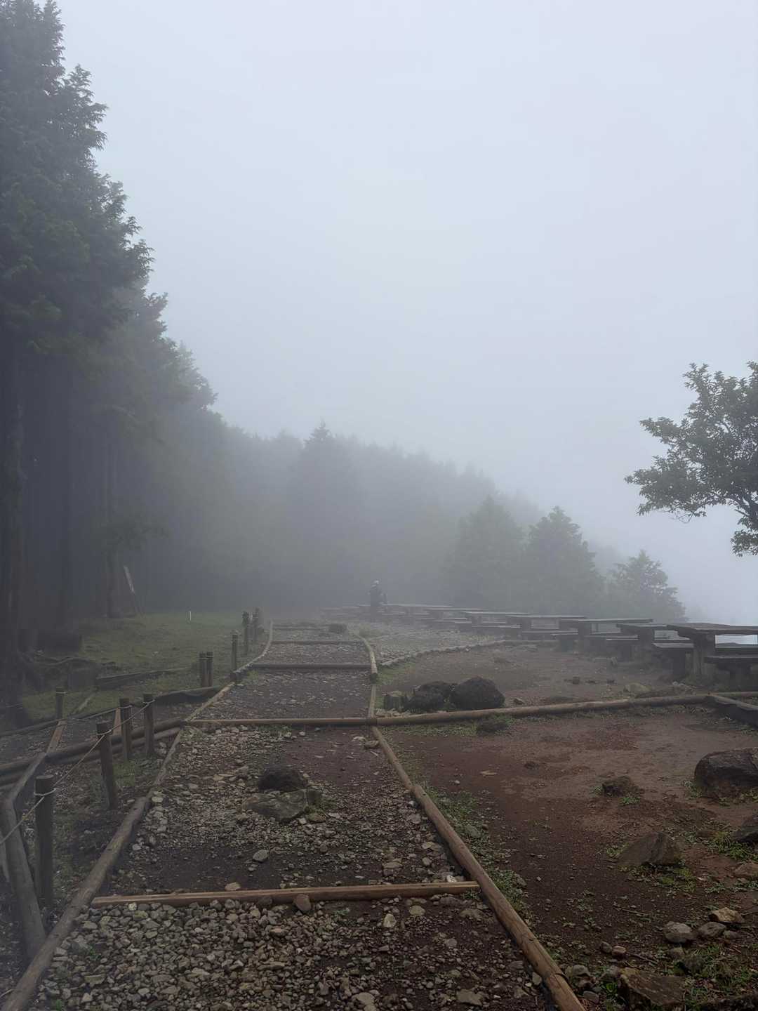 見晴台に着きました。本来なら正面に大山がドーンです。