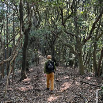 オミ（おみどり夫婦登山隊）