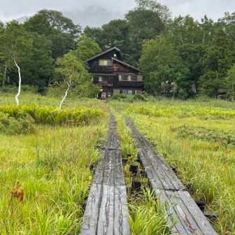 山小屋が見えた