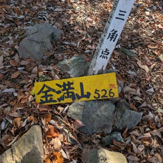 金が満ちる。
なんていい名前。