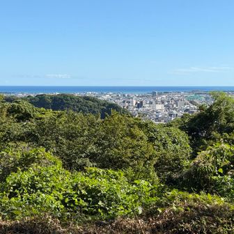 海が見える