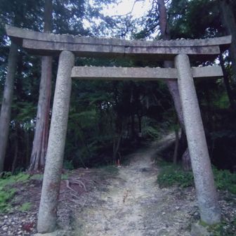 いつもありがとうございます🙇
