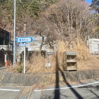 ここから登り始めたのでなかなかバテた…