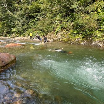 水が冷たいけどプルーさん気合いの泳ぎ🏊