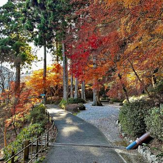 ロープウェイの駅方面へ