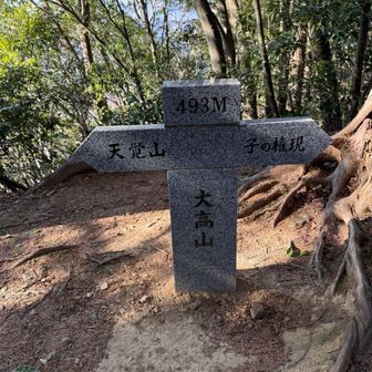 遠かった大高山