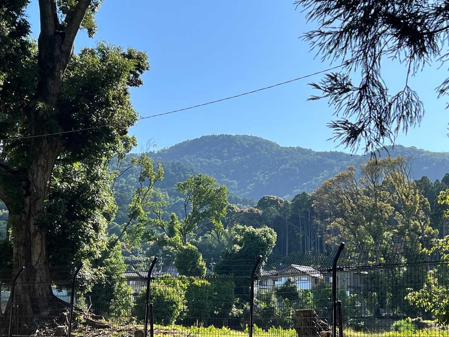 横嶺峠-高塚山 周回コースの写真
