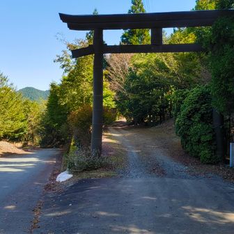 春埜山からしばらく下ると大光寺の入り口が現れます。無視して左の林道を進んでも良いのですが、樹齢1300年の春埜杉を一目見ておきたかったので鳥居を潜って進む事にしました。