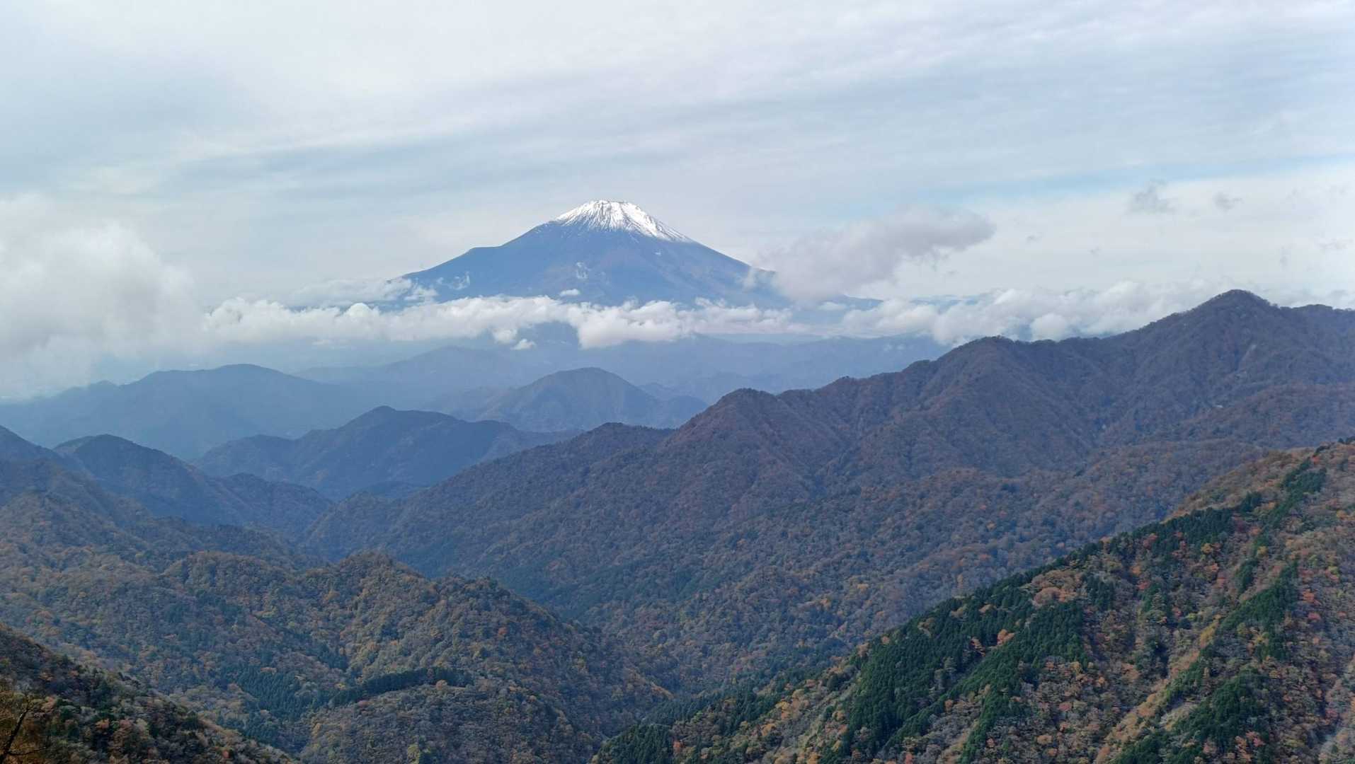 大倉バス停-観音茶屋-堀山-花立ノ頭-塔ノ岳-日高-竜ヶ馬 往復コースの写真