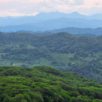 毛猛山
