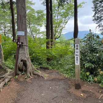 ようやく高取山到着、さすがに膝に疲れが溜まる。