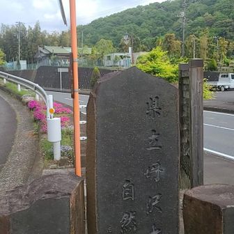丹沢大山国定公園✨
大倉尾根にも、案内がありました

今日は、鐘ヶ嶽を単発で
登るのよ✨