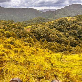 登山靴はびちょびちょだー🤣