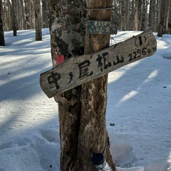 中ノ尾根山
みさ百No.1🥇

私は7回目！記念の写真を撮ってもらいましたが、ブサイクすぎるので掲載不能と判断しました😂