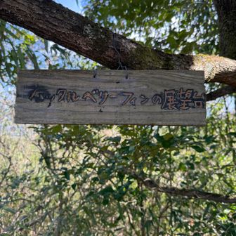 なぬ？ハックルベリーフィンの展望台とな