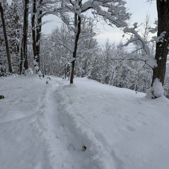 自分で作った道は快適🎵☺️