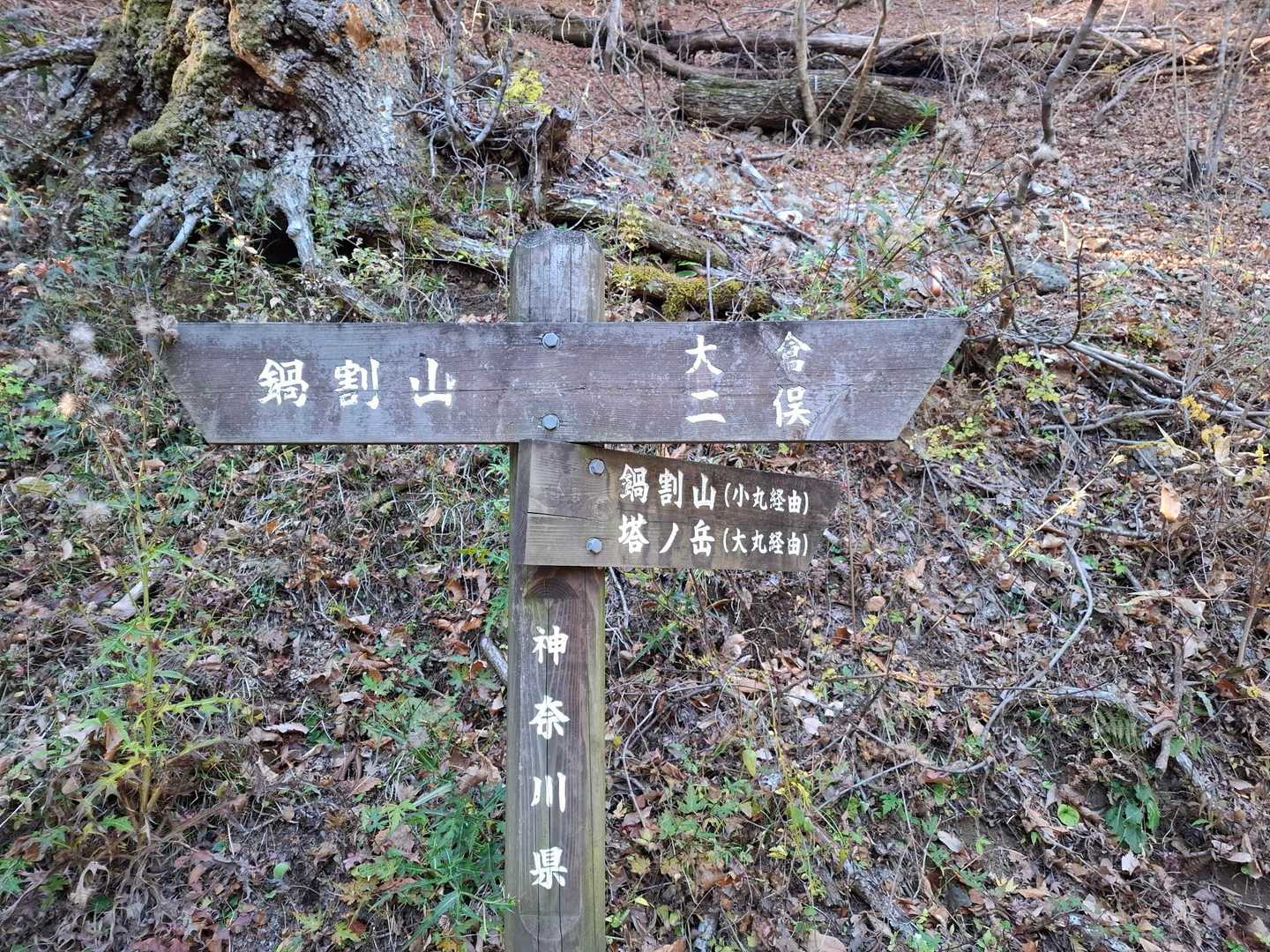 かなり長く感じる下山も、山友さん達のおもしろトークによりしんどさ半減
仲間って素晴らしい