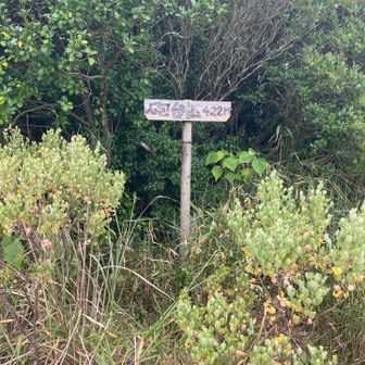 砲台山　422m 軍事施設（砲台跡？）の遺構が一杯と思う