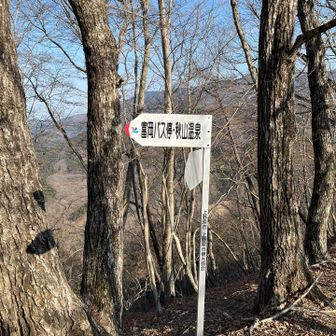 井戸沢ノ頭はいつの間にか通過

分岐で富岡バス停方面へ
あとはひたすら下山