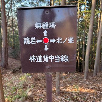 林道への分岐
ここだけ降るところがわかりづらかった