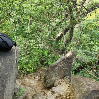 鷹戻しの前に休憩
いつもは休まずに通過する場所で、ヤマビルのいない岩にザックを置いて休憩しました。