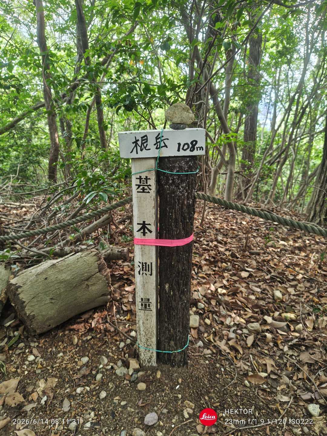 親鸞山 周回コースの写真