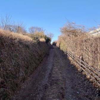 さらにこんな道になりました😅