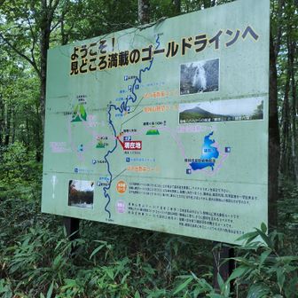 ゴールドラインの看板