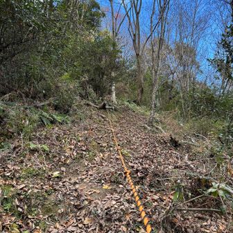 有り難いロープです。