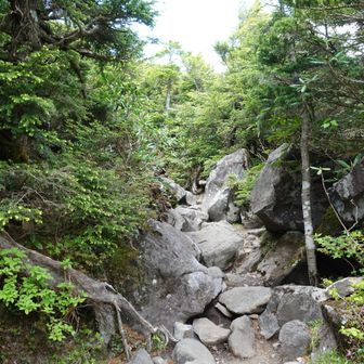 岩岩の道