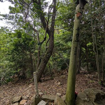 そして十方山山頂。