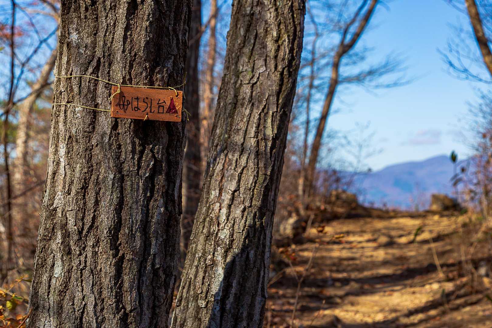 ちょっと寄り道🚶
