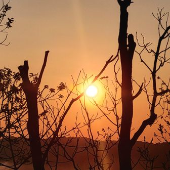木が入っちゃうけど…そのシルエットがまた良し🌄