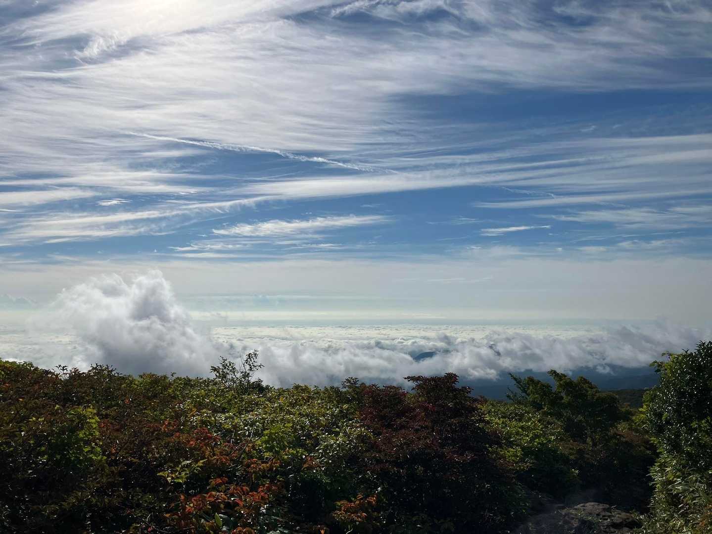 東栗駒山 往復コースの写真