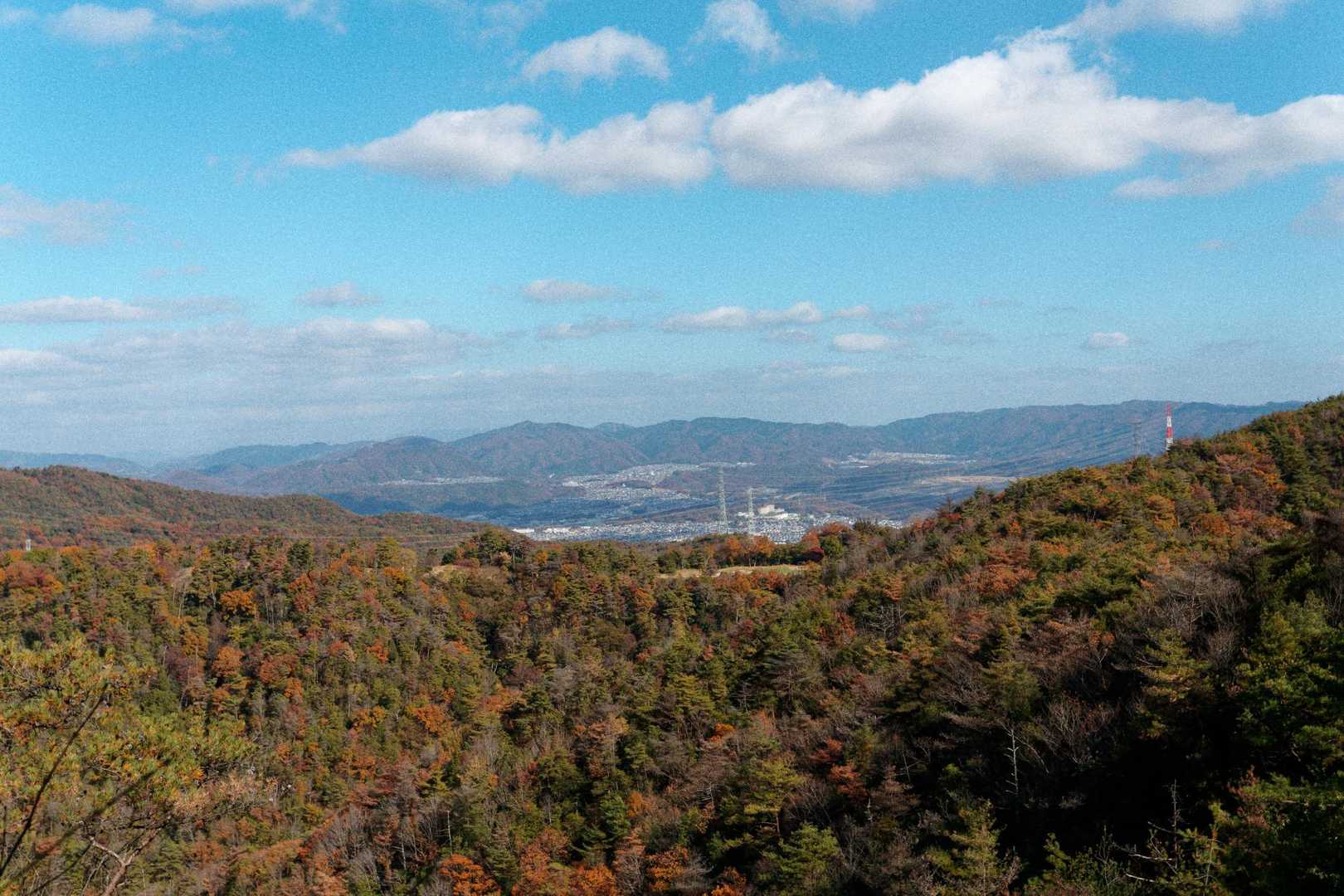 山本駅-満願寺西山-中山-大峰山-大峰山登山口-武田尾駅 縦走コースの写真