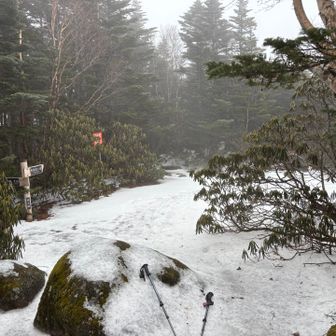 埼玉最高峰、なにもありませんわ