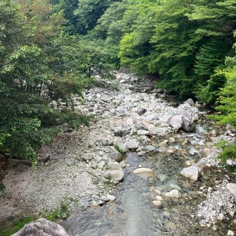 橋からの眺め