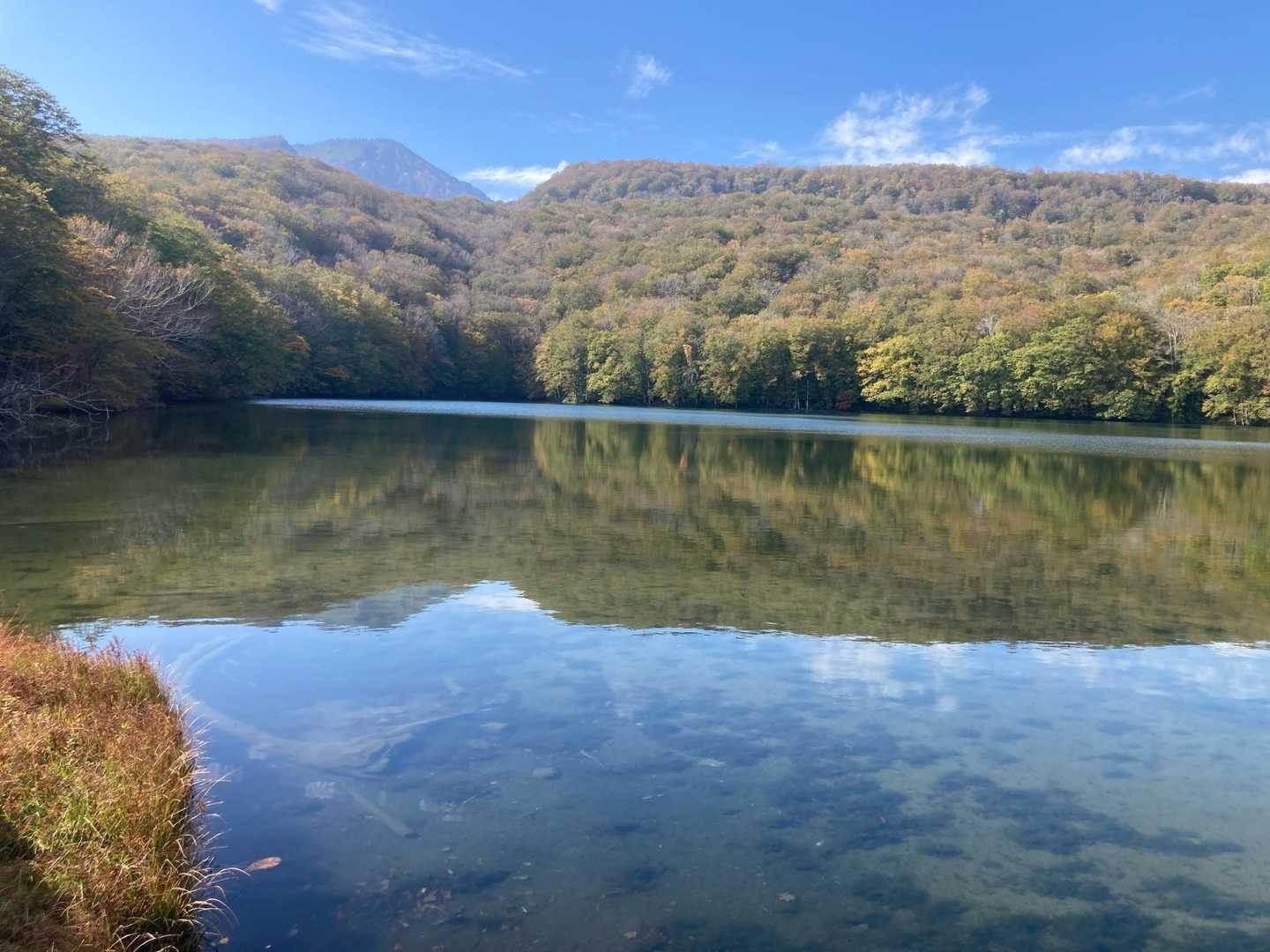 蔦温泉登山口発着｜蔦沼ほかブナの森湖沼群周回コースの写真