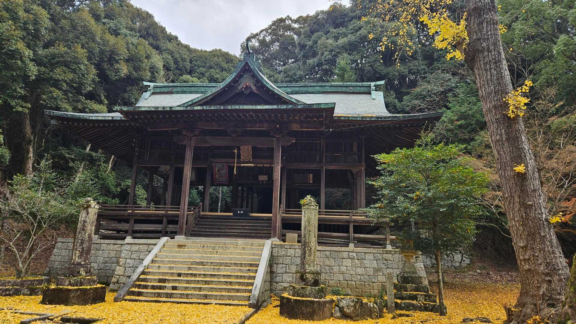 岩石山 往復 | 奇岩・巨岩とドウダンツツジのトンネルが生み出す絶景を満喫の写真
