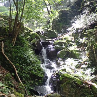 ええ雰囲気やなぁ