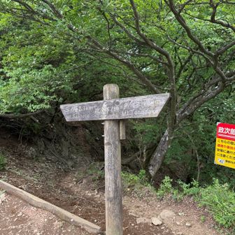 分岐に到着。今日は、政次郎尾根を歩きます。